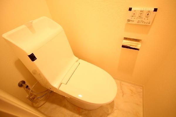 Toilet. Cleaning function toilet