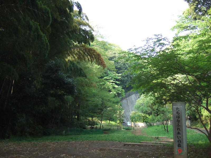 park. Tachibana 860m until the Forest of Friendship