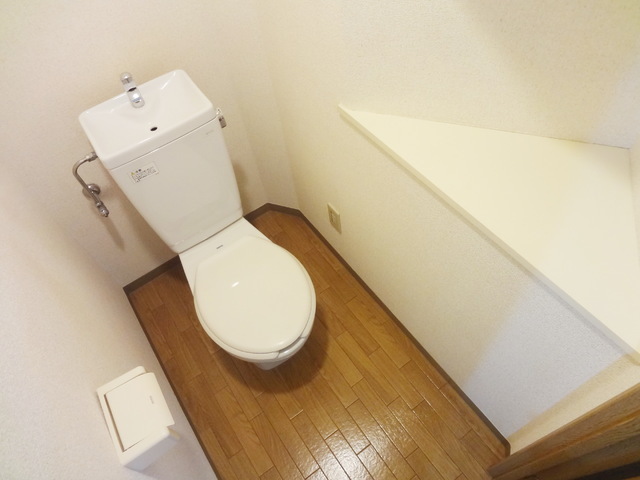 Toilet. Full of clean toilet