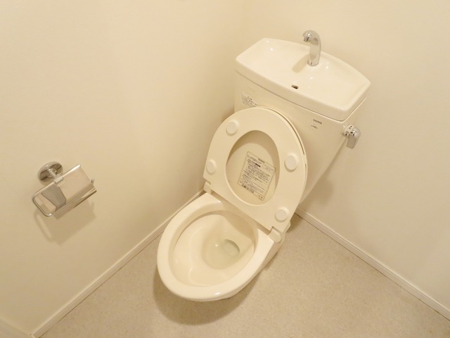 Toilet. Poised toilet