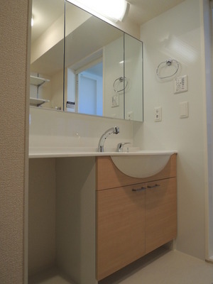 Washroom. Bathroom Vanity