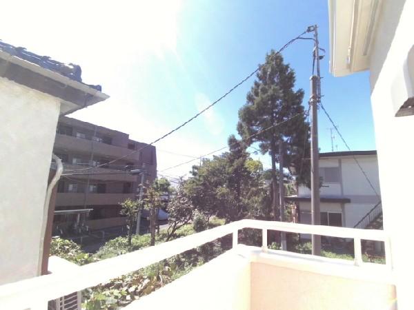 View photos from the dwelling unit. Green is a rich living environment