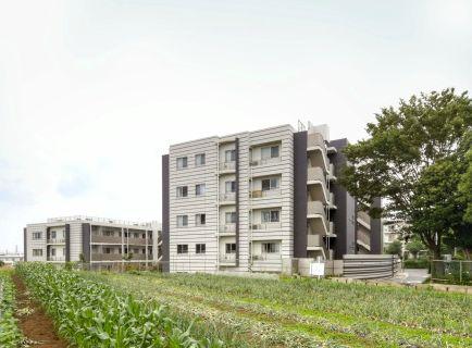 Local appearance photo