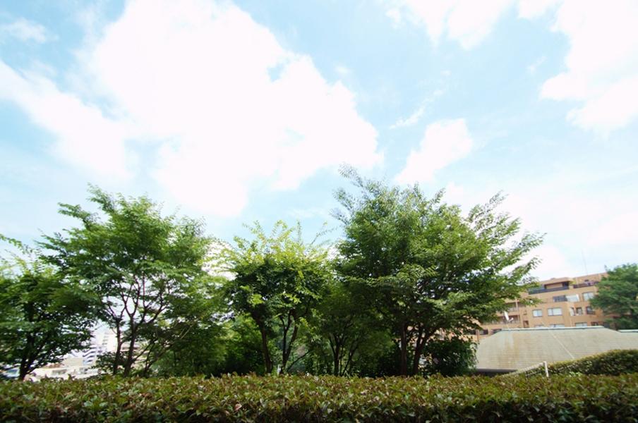 View photos from the dwelling unit