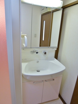 Washroom. Wash basin full mirror Shower handle type