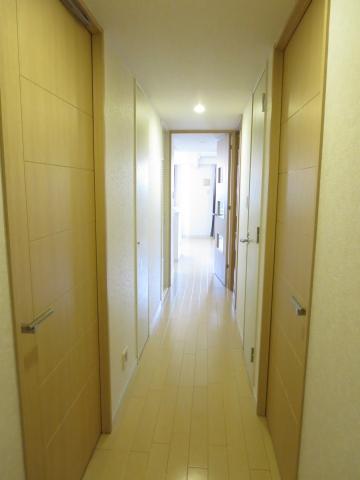 Other introspection. Corridor part