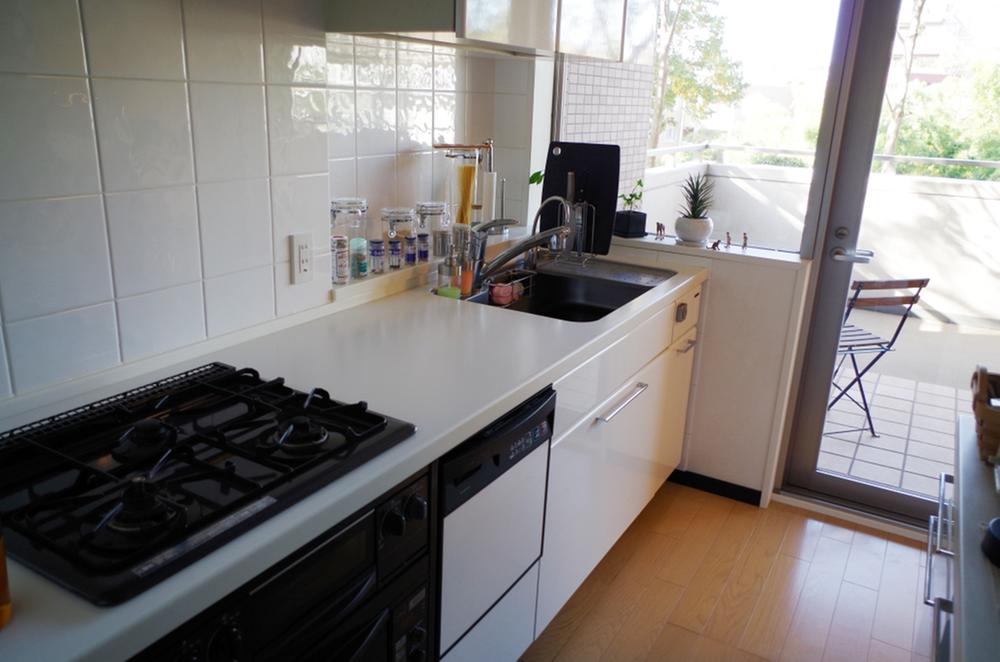 Kitchen. Indoor (11 May 2013) Shooting