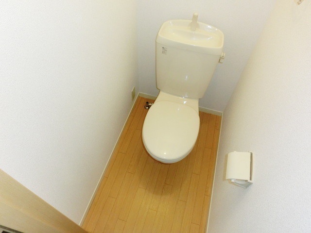 Toilet. Toilet space to settle down