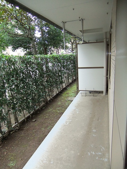 Other. terrace