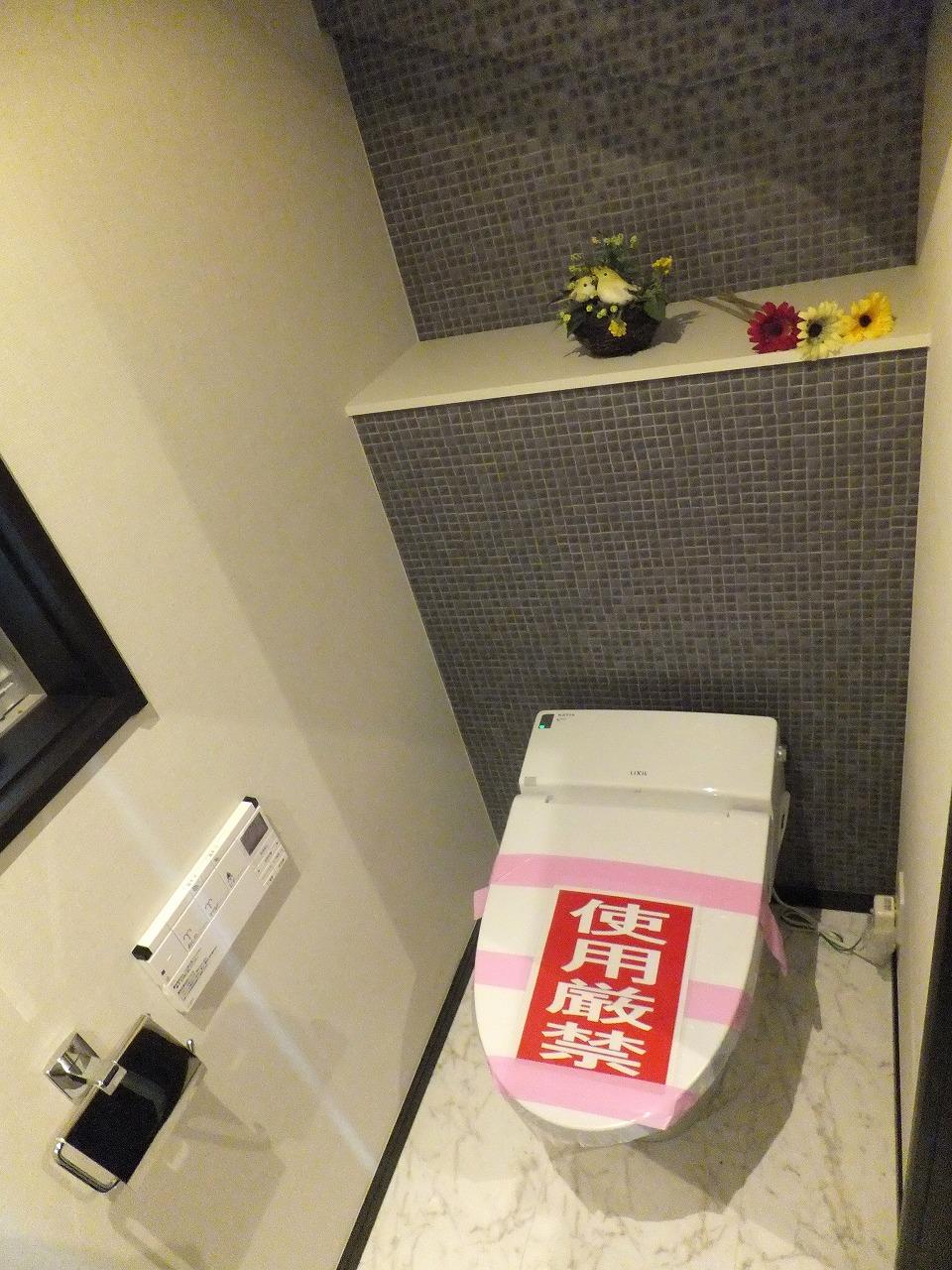 Toilet. Indoor (10 May 2013) Shooting Shower toilet.