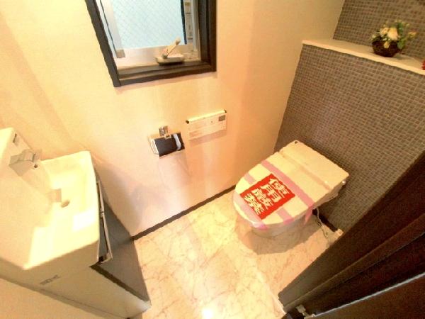 Toilet. Shower toilet