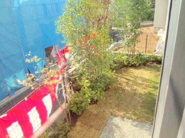 Garden. There garden of lawn