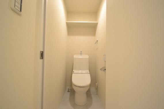 Toilet. Indoor shooting