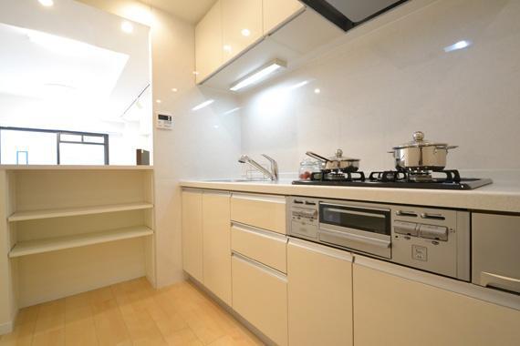 Kitchen. Indoor shooting