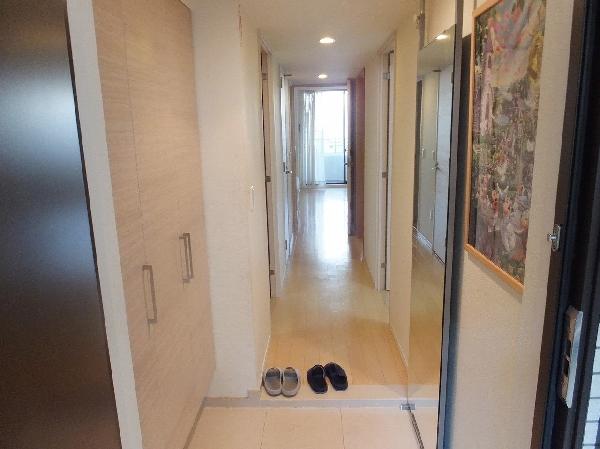 Other introspection. Entrance hall