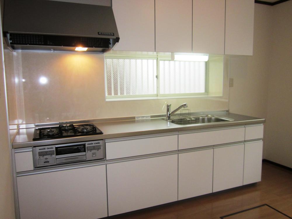 Kitchen. Indoor (11 May 2013) Shooting