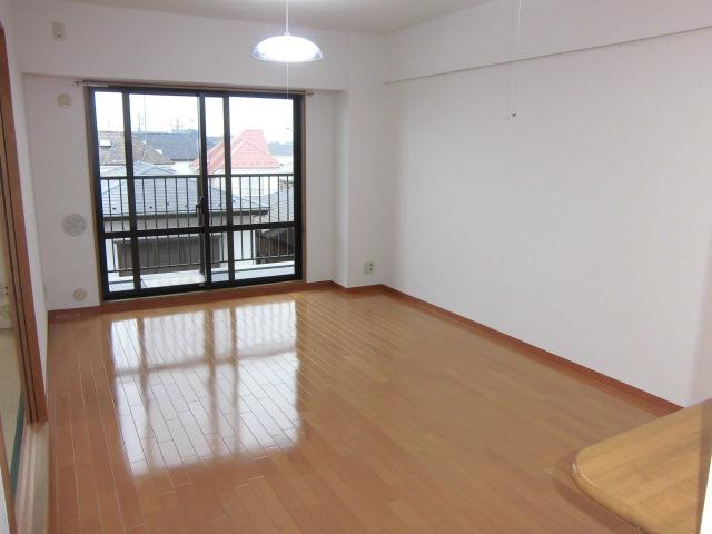 Living. Indoor (July 2013) Shooting