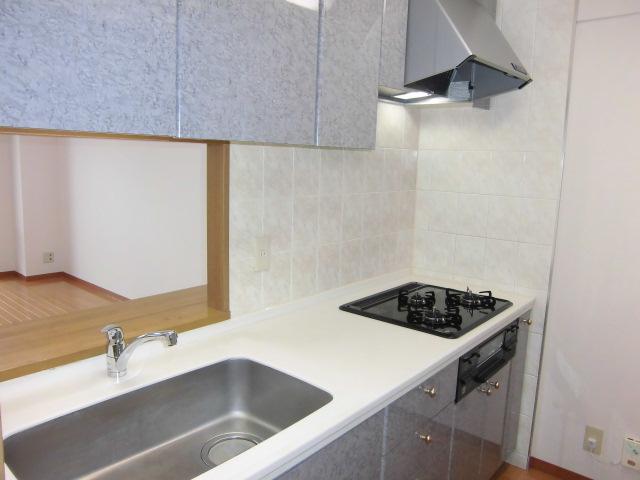 Kitchen. Indoor (July 2013) Shooting