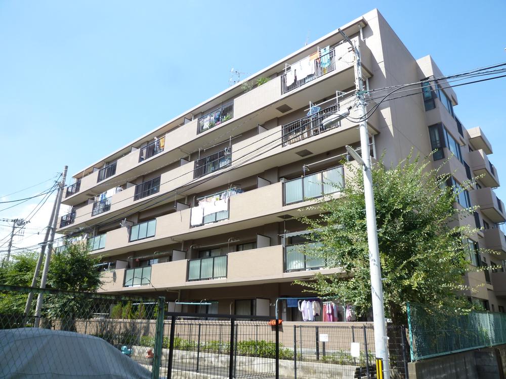 Local appearance photo. Local (September 2013) Shooting