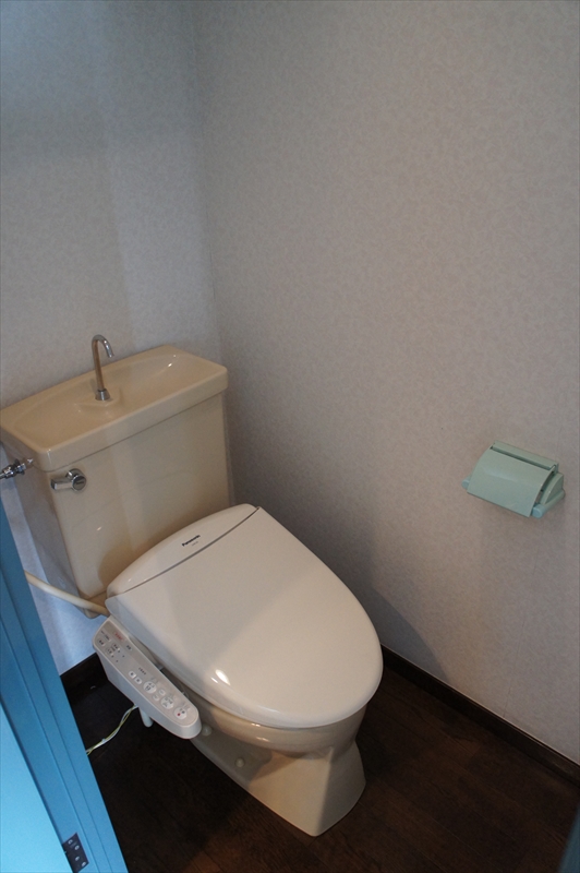 Toilet. Washlet toilet!