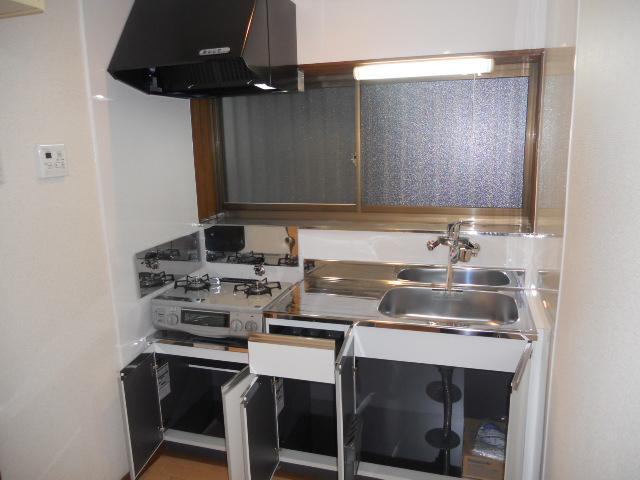 Kitchen. Double doors of kitchen storage can take advantage of without exhaustive as far as it will go.
