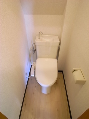 Toilet