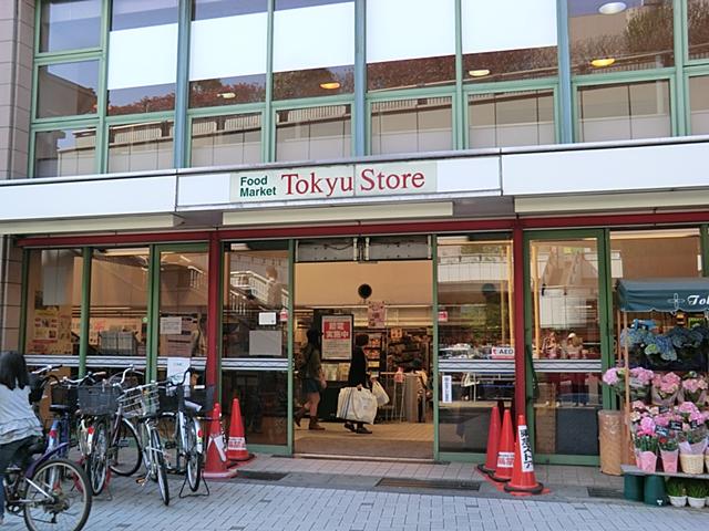 Other. Tokyu Store Chain Mizonokuchi shop! Property is near
