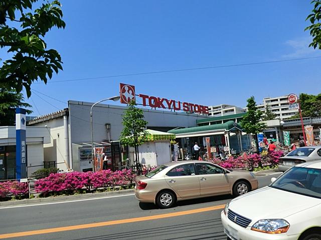 Other. Tokyu Store Chain Kajigaya shop walk about 14 minutes