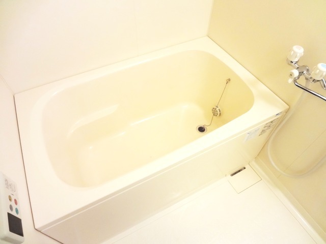 Bath. It is a spacious bath with the reheating