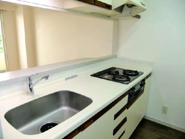 Kitchen. Counter Kitchen