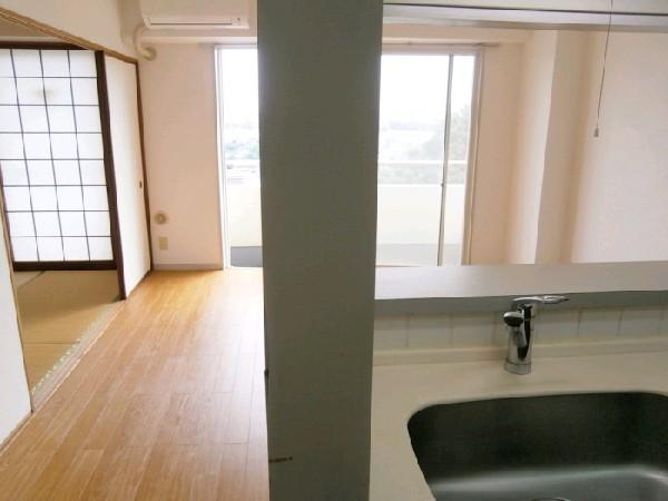 Living. The view from the kitchen