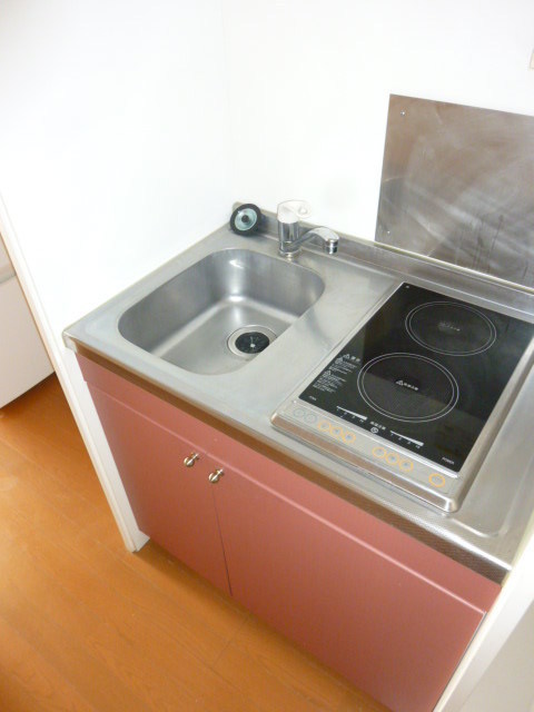 Kitchen. Two-necked IH cooking heater with kitchen