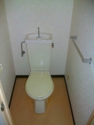 Toilet