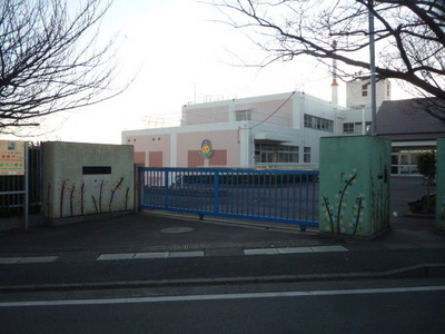 Primary school. New to elementary school (elementary school) 550m
