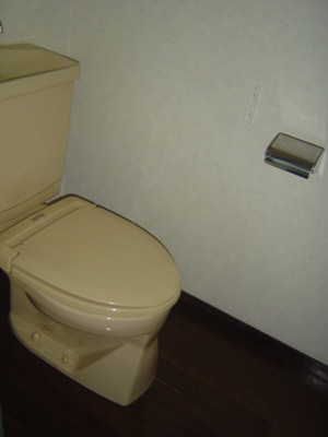 Toilet