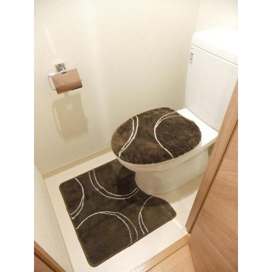 Toilet. The clean white toilet space lag of brown system