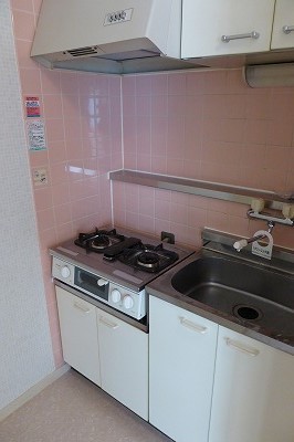 Kitchen. Two-burner stove with grill