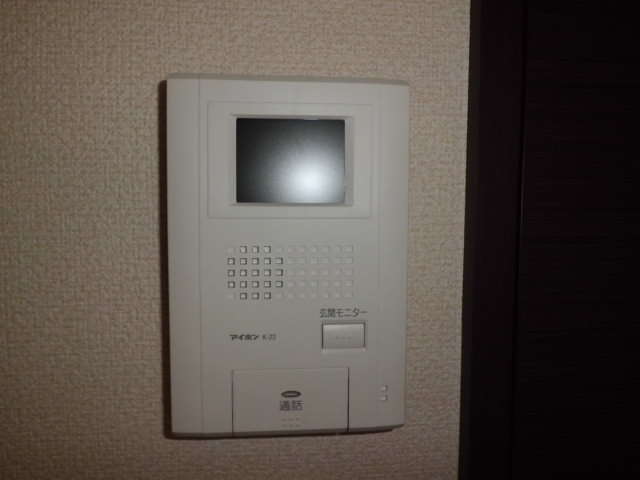 Security. Monitor with intercom