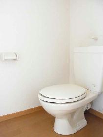 Toilet. Current state priority