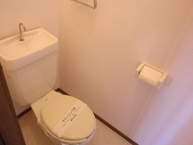 Toilet. Storage space it has plenty