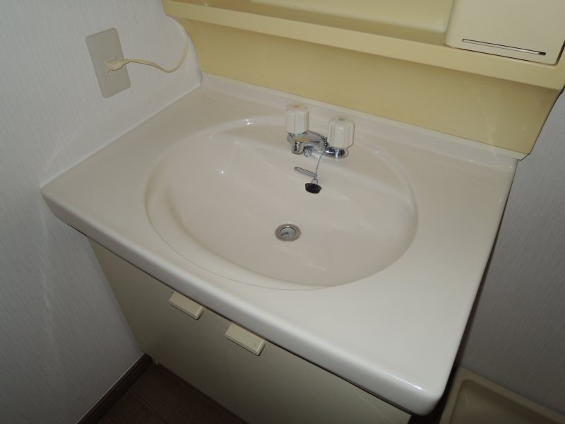 Washroom. Basin sink