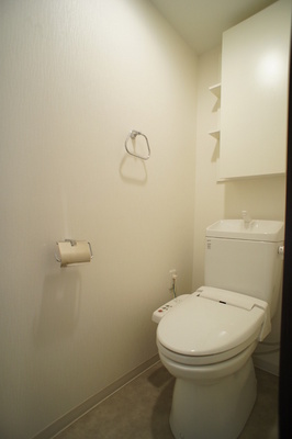 Toilet. Convenient because towel that with a hook