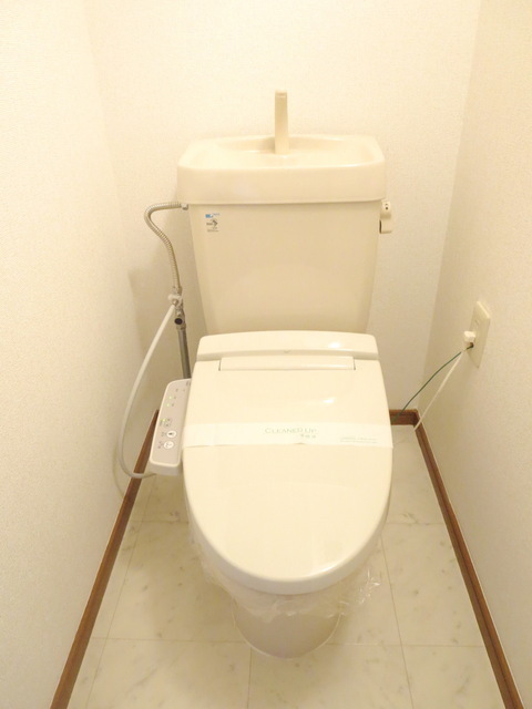 Toilet. Washlet toilet