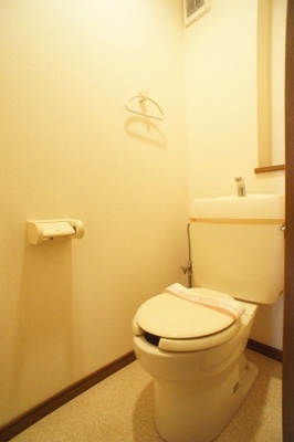 Toilet. I do not feel the feeling of pressure in the spacious space!