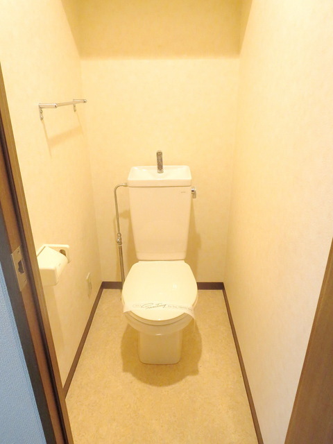 Toilet. Clean toilet