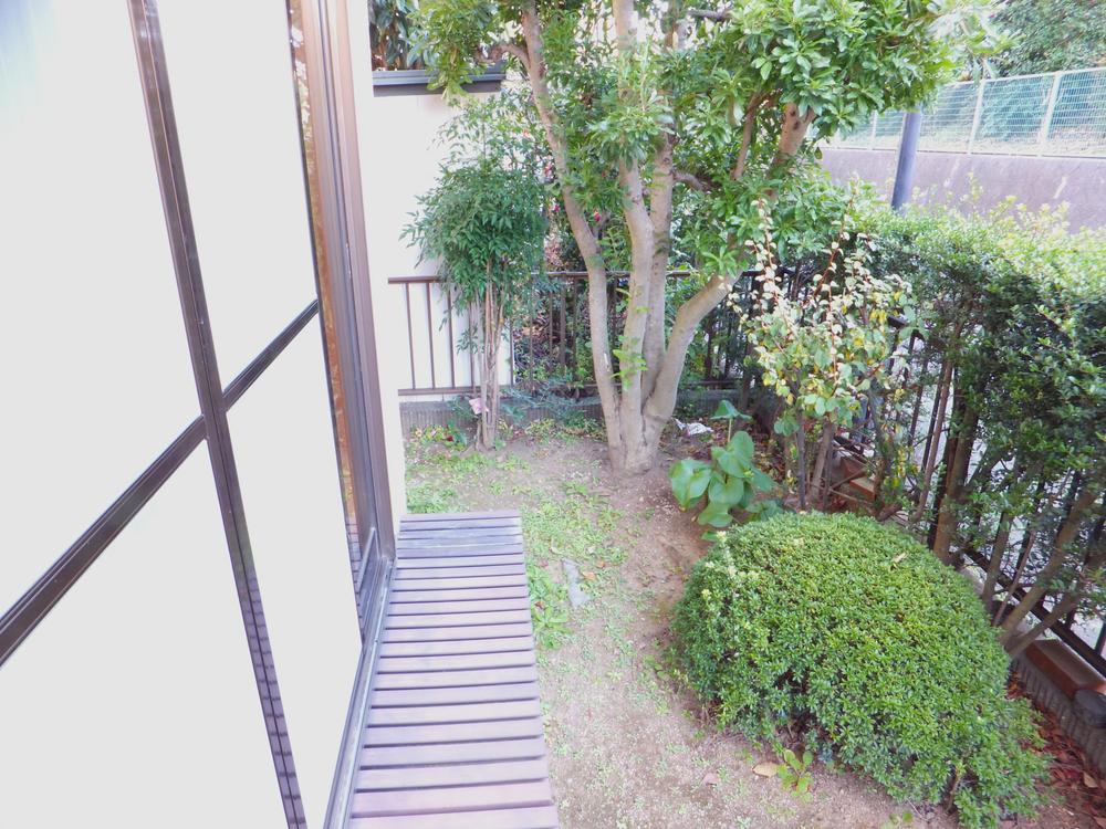 Garden. It is the south side of your garden. It will be planted, such as memorial tree. 