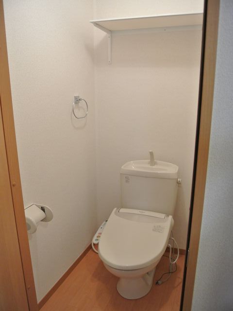 Toilet. Toilet is equipped with a shelf that can be stored.