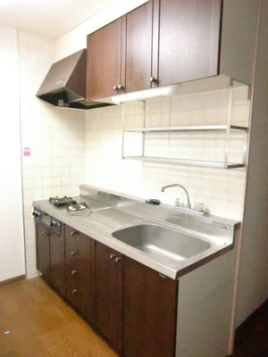 Kitchen. With a two-burner stove grill