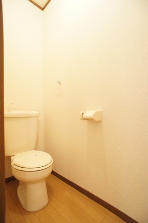 Toilet. Toilet also has a depth, Spacious!