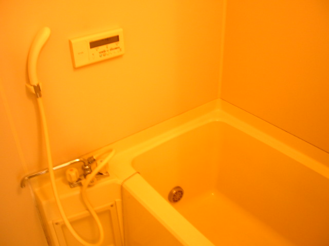 Toilet. Noborito real estate rental apartment security surface relief of the room